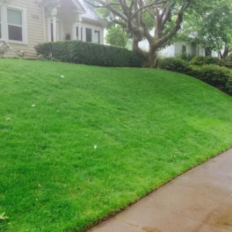 Professional residential landscaping in Portland, OR by M Y C Yard Maintenance