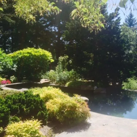 Professional outdoor landscaping experts serving Portland, OR - M Y C Yard Maintenance