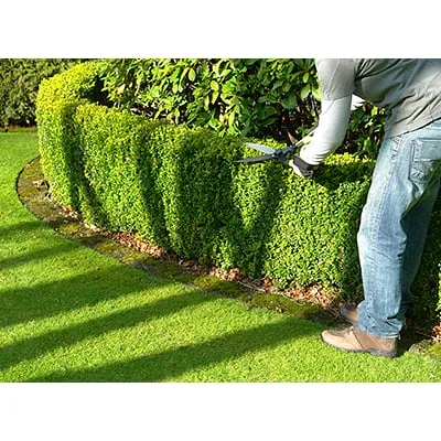 Professional residential landscaping in Portland, OR by M Y C Yard Maintenance