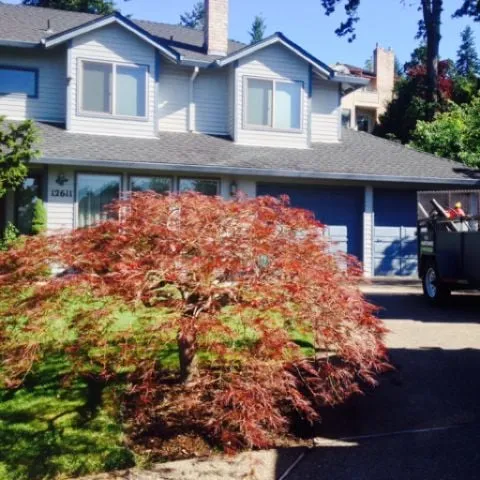 Affordable residential landscaping in Portland, OR - M Y C Yard Maintenance