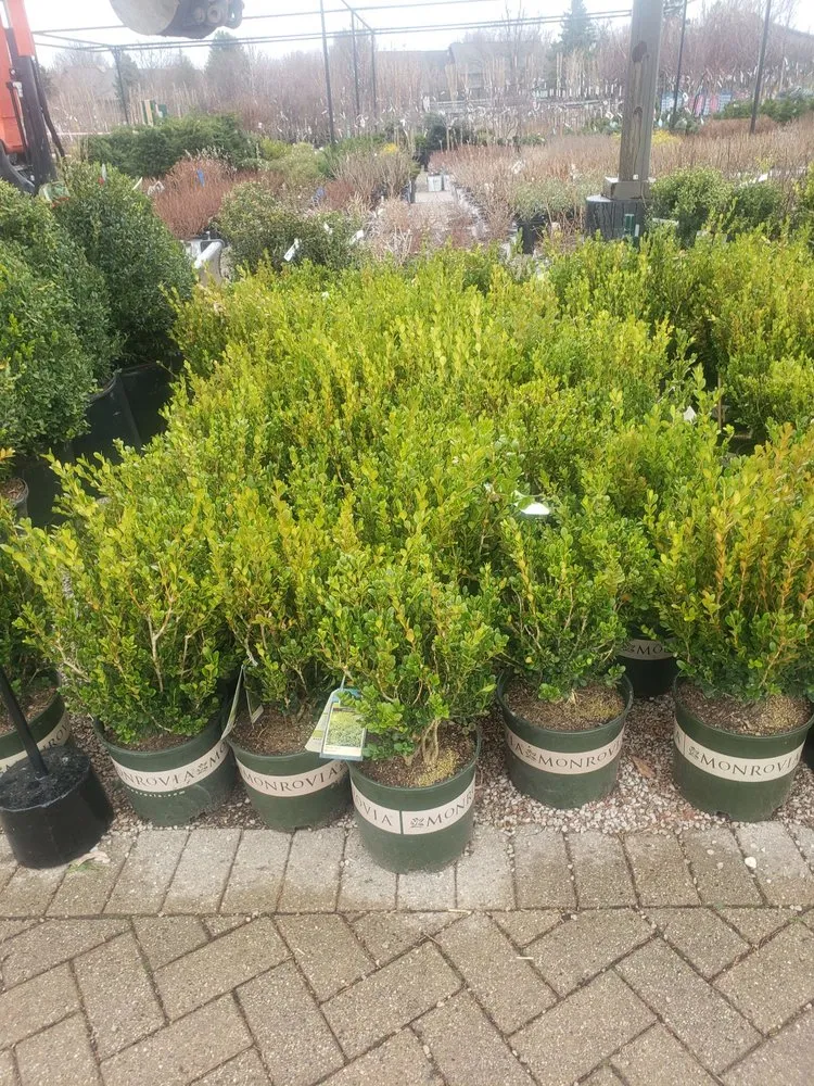 Local yard maintenance for outdoor upgrades across Freeport, NY - M1 Landscape Design & Build