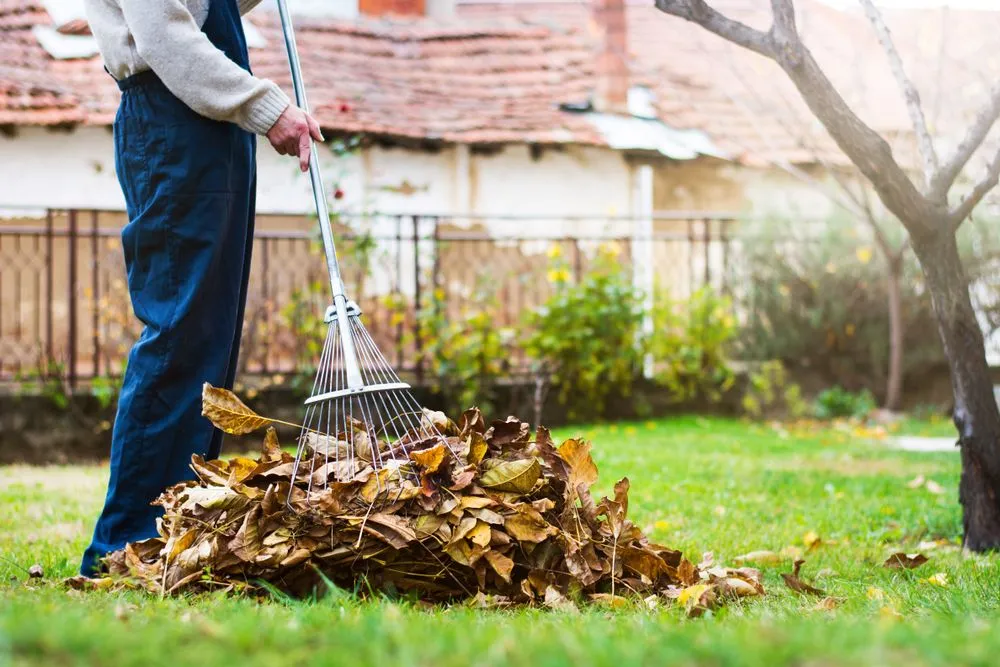 Professional yard cleanup service near you in Corona, CA by M1 Landscaping