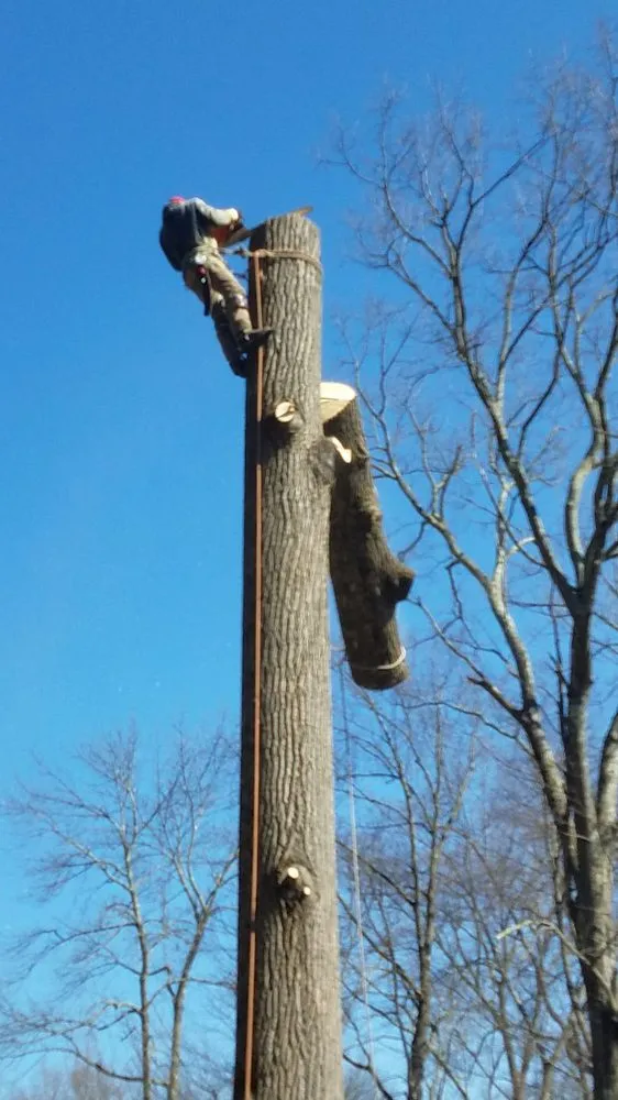 Reliable outdoor landscaping in Mendham, NJ by M2 Landscaping