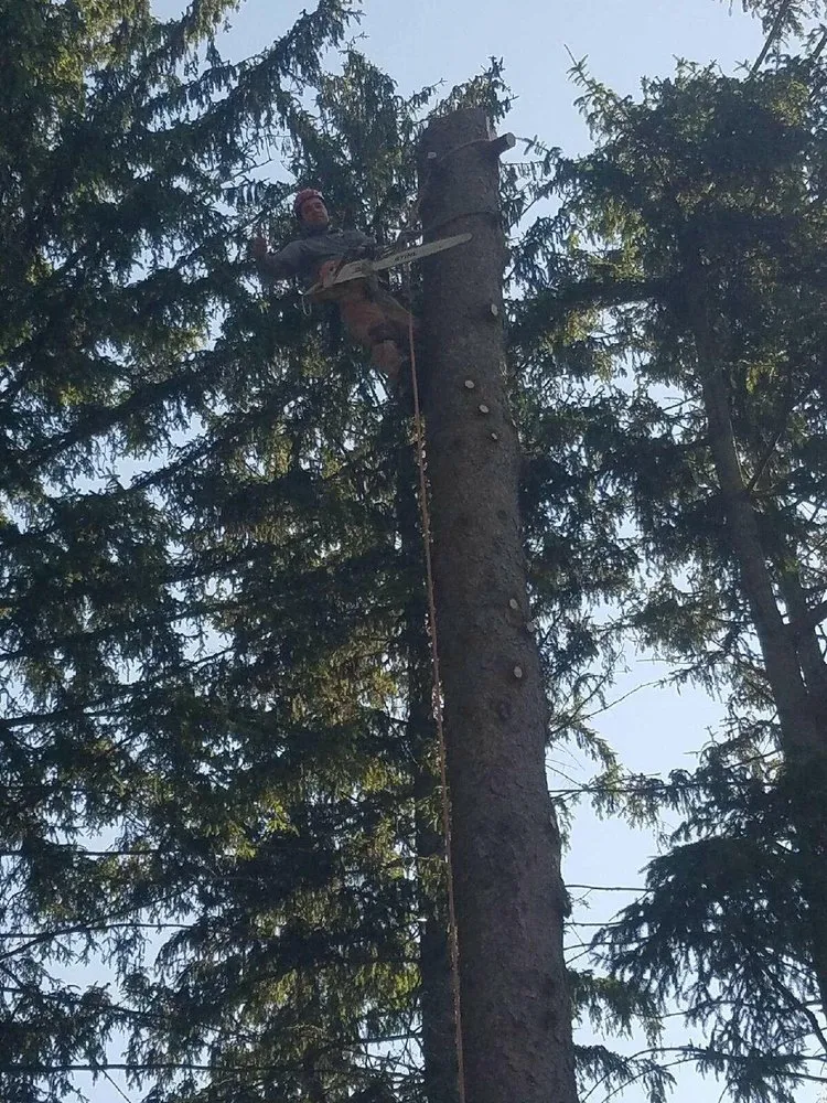 Expert garden landscaping experts serving Mendham, NJ - M2 Landscaping