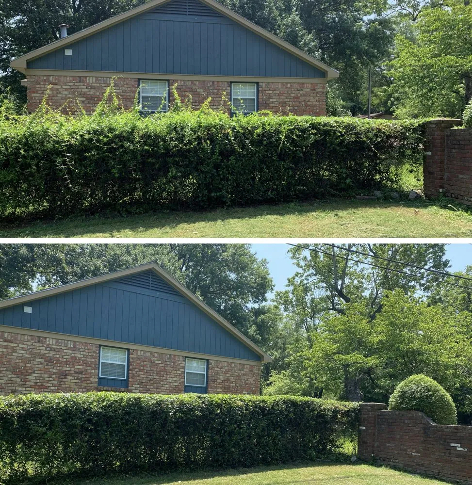 Expert landscape installation experts serving Memphis, TN - M2G Lawn Care