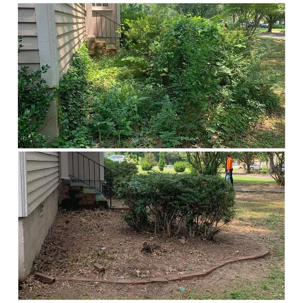 Professional residential landscaping in Memphis, TN - M2G Lawn Care
