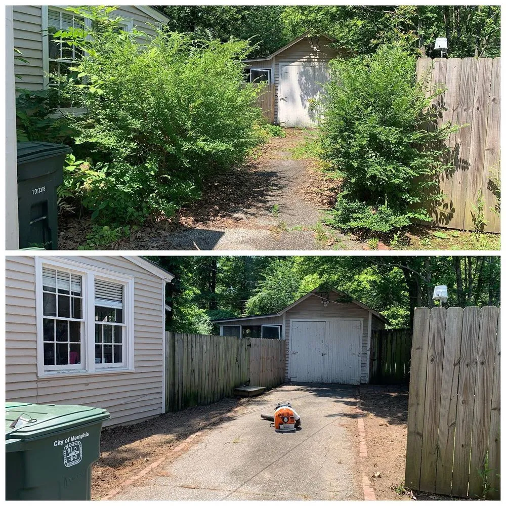 Custom lawn care service near you in Memphis, TN by M2G Lawn Care