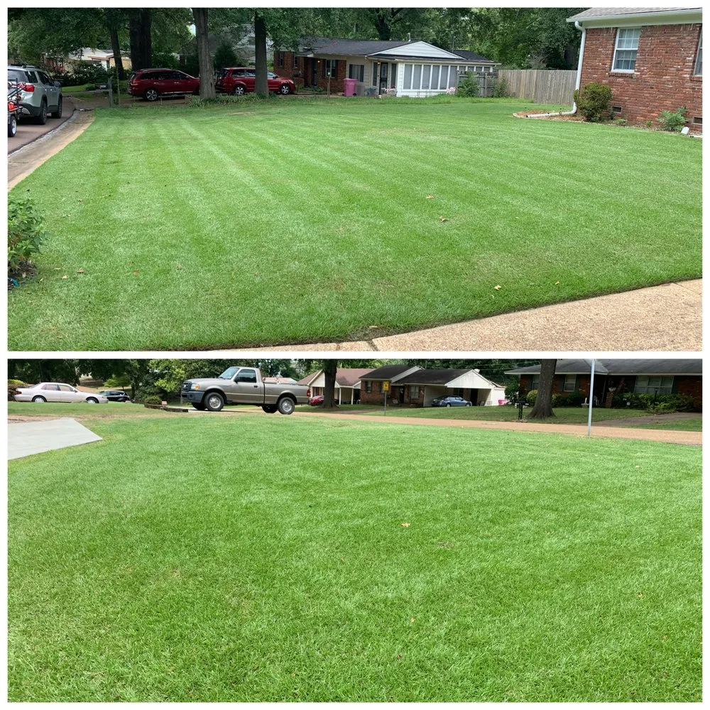 Custom lawn mowing service in Memphis, TN - M2G Lawn Care