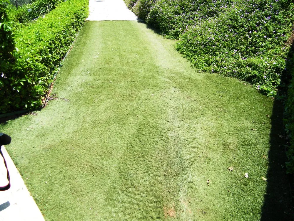 Trusted lawn mowing service experts serving Medley, FL - M3 Artificial Grass & Turf