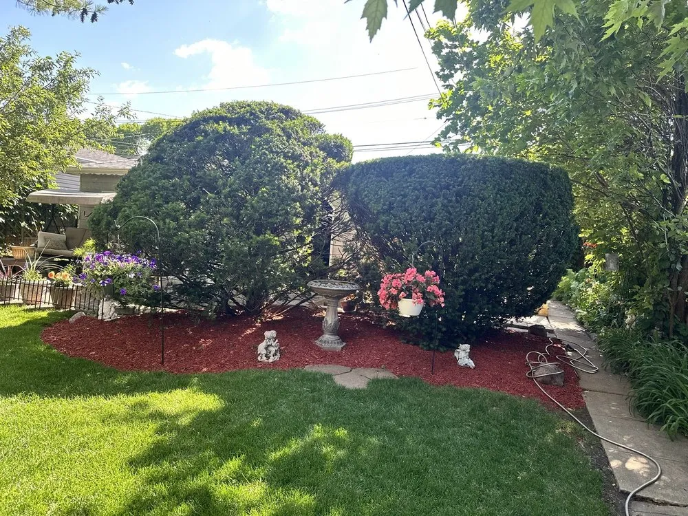 Trusted garden landscaping in Elk Grove Village, IL by M3 Landscape Management