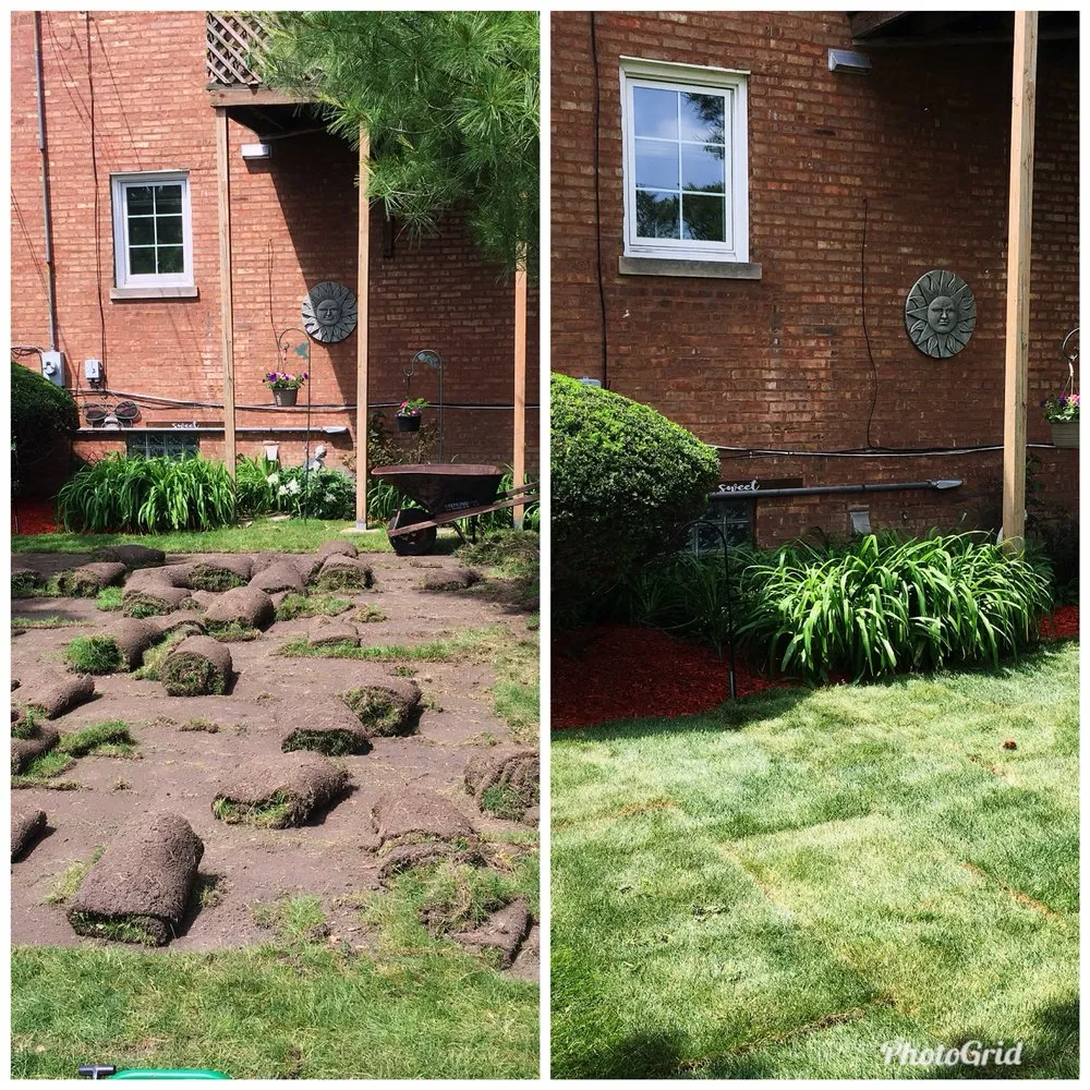 Local outdoor landscaping for residential properties across Elk Grove Village, IL - M3 Landscape Management