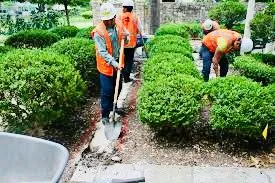Custom landscaping services in Elk Grove Village, IL by M3 Landscape Management