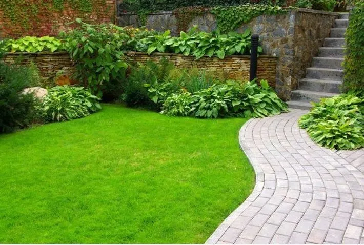 Top-rated yard cleanup service near you in Elk Grove Village, IL by M3 Landscape Management