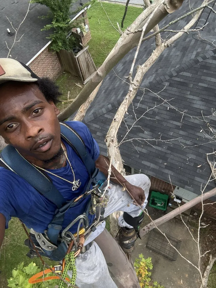 Affordable outdoor landscaping experts serving Columbus, GA - M3 Landscaping & Clearing