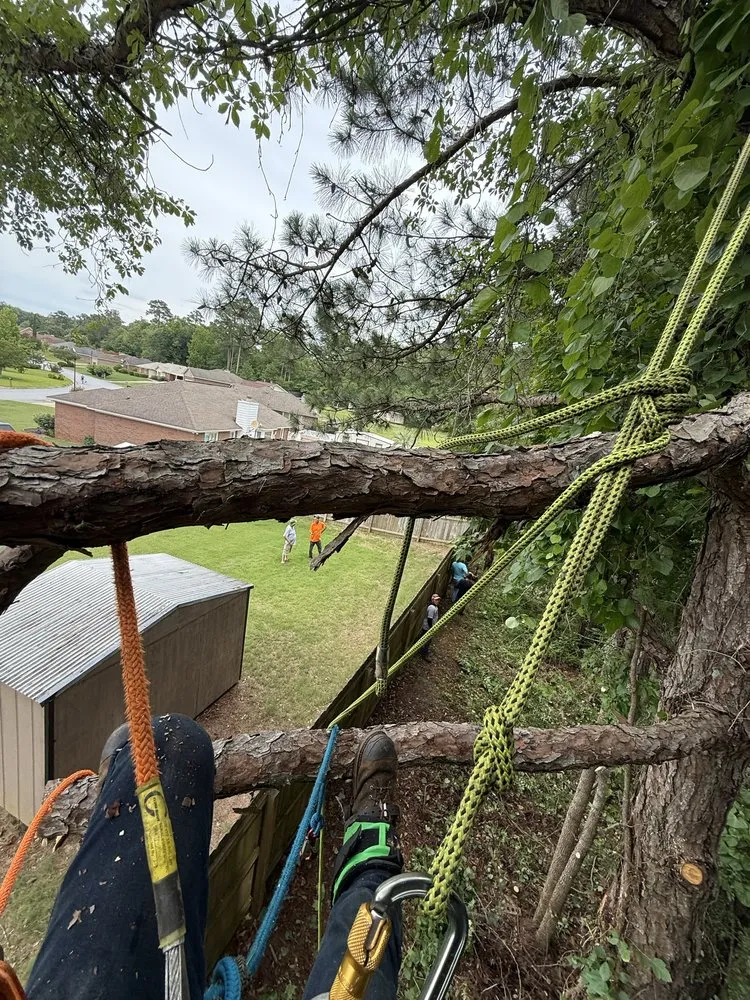 Local yard maintenance for homes in Columbus, GA by M3 Landscaping & Clearing