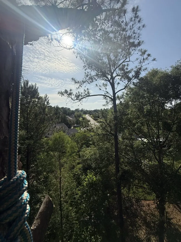 Expert lawn care service for outdoor upgrades across Columbus, GA - M3 Landscaping & Clearing