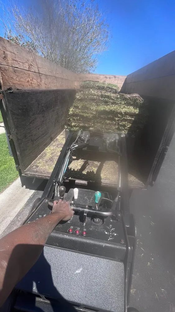 Top-rated outdoor landscaping for outdoor upgrades across Columbus, GA - M3 Landscaping & Clearing