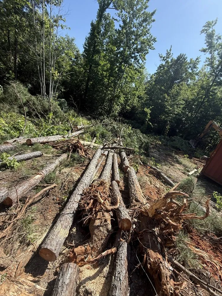 Affordable landscape installation experts serving Columbus, GA - M3 Landscaping & Clearing