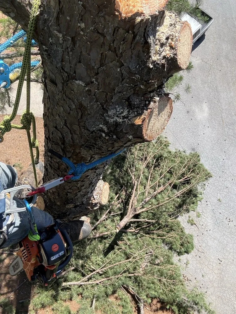 Custom lawn care service in Columbus, GA - M3 Landscaping & Clearing