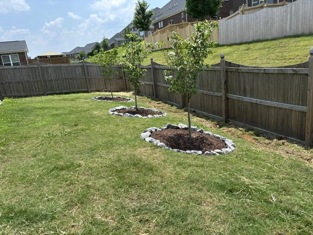 Expert lawn mowing service in Hermitage, TN - M3 Logistics