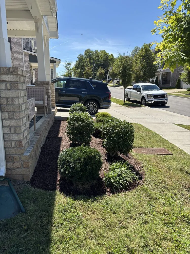 Trusted yard cleanup service for outdoor upgrades across Hermitage, TN - M3 Logistics