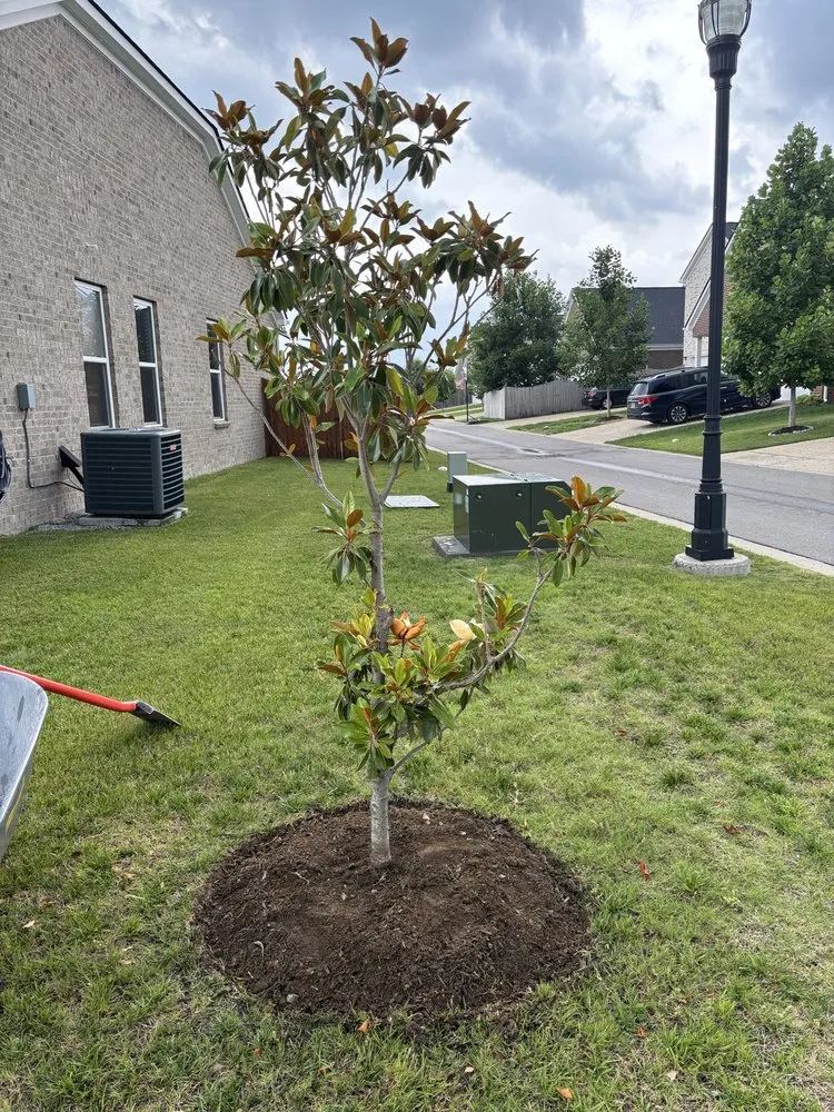 Expert yard maintenance for outdoor upgrades across Hermitage, TN - M3 Logistics