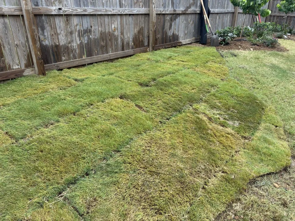 Top-rated outdoor landscaping for beautiful yards across Hermitage, TN - M3 Logistics