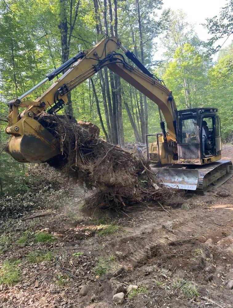 Trusted yard cleanup service in Crandon, WI by M5 Land Services