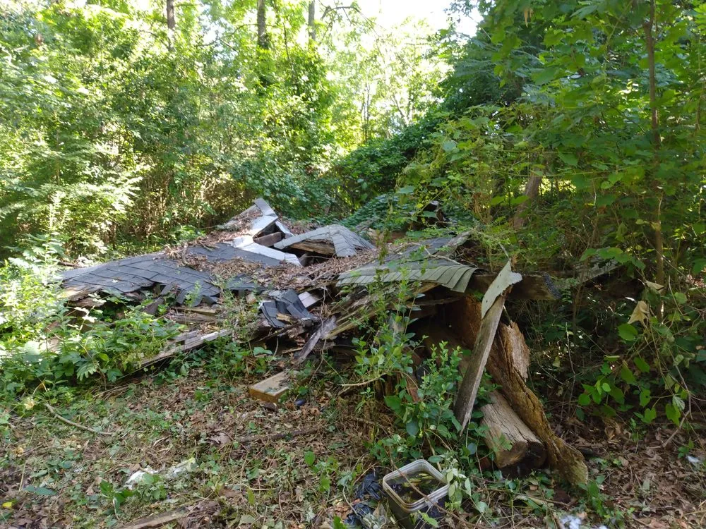 Top-rated yard cleanup service experts serving Forest City, NC - M6 industries