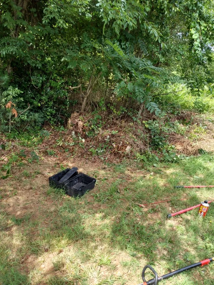 Professional lawn care service near you across Forest City, NC - M6 industries