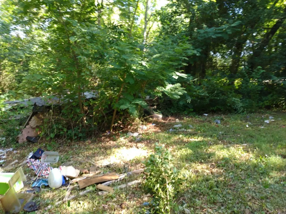 Expert residential landscaping experts serving Forest City, NC - M6 industries