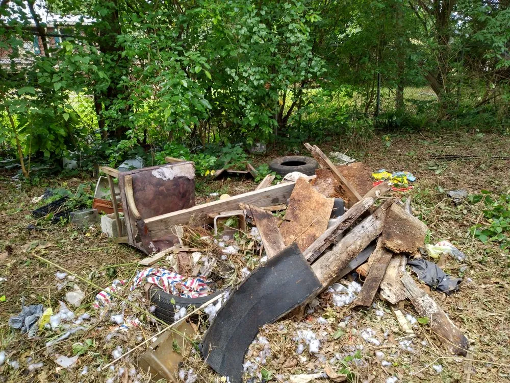 Expert yard maintenance in Forest City, NC by M6 industries