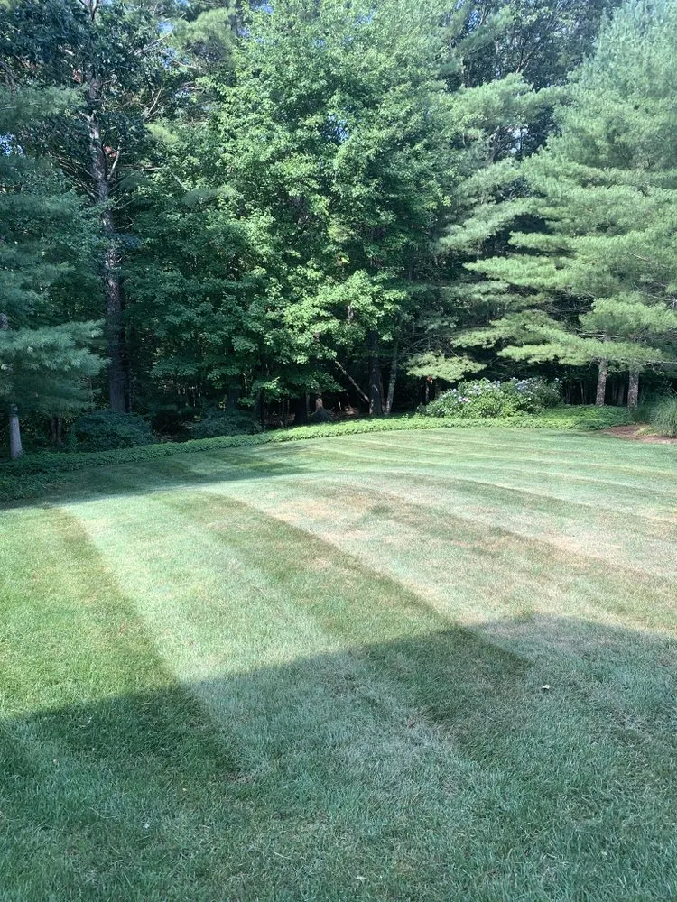 Trusted yard cleanup service for homes in Hanover, MA by MA - Lawncare