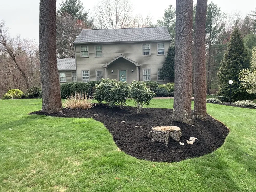 Local lawn care service in Hanover, MA - MA - Lawncare
