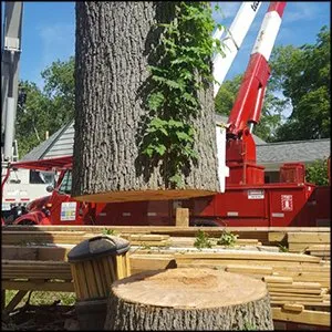 Expert landscape design with custom design across West Olive, MI - M&A All Seasons Tree Service