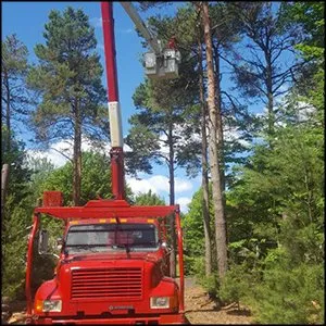 Local lawn mowing service experts serving West Olive, MI - M&A All Seasons Tree Service