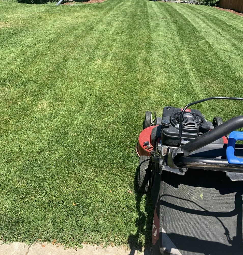 Expert residential landscaping in Longmont, CO - MA Landscape & Lawn Service