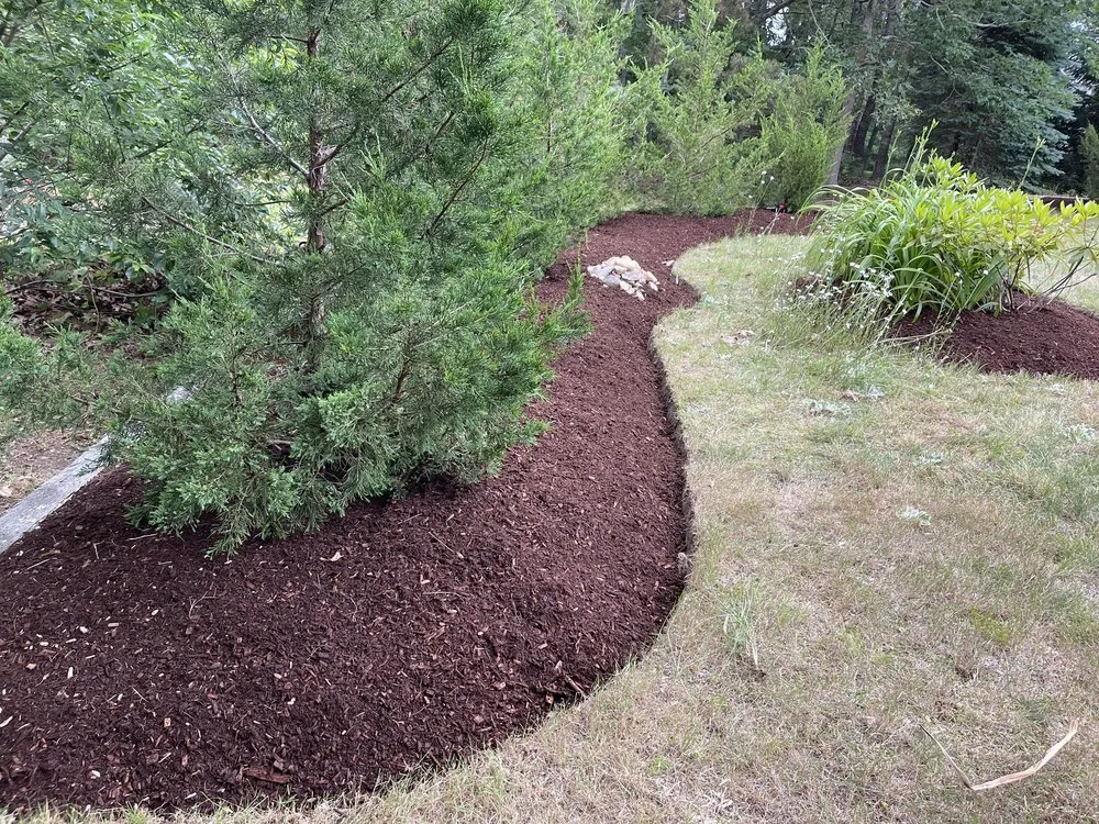 Trusted landscape installation for homes across Chatham, MA - MA Landscape and Home Services