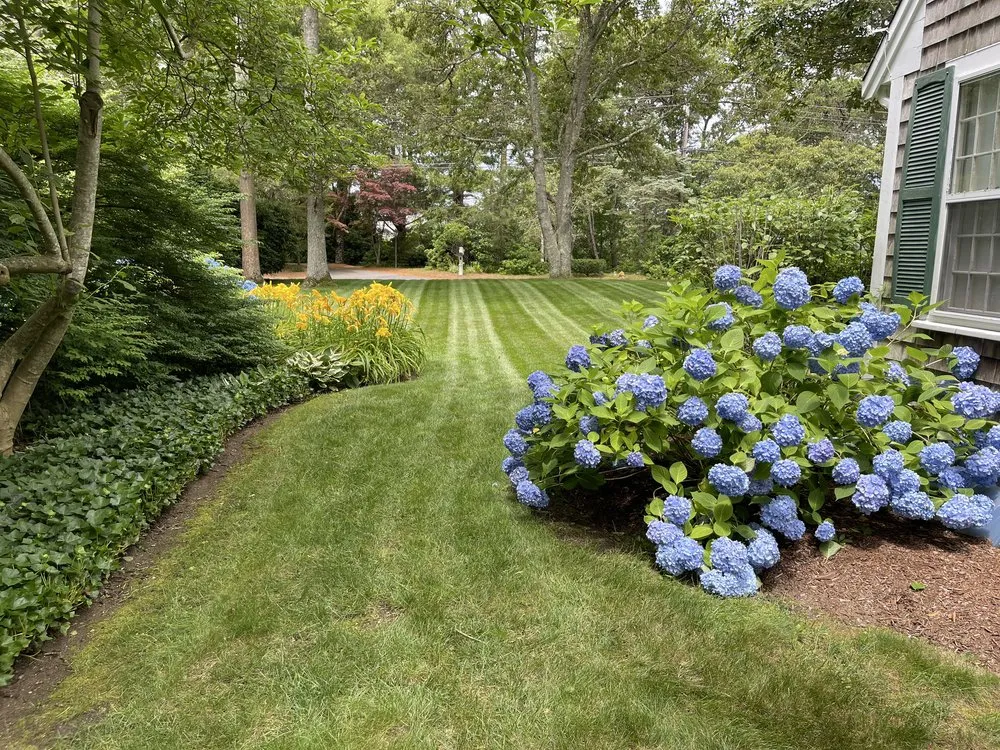 Professional yard maintenance for residential properties in Chatham, MA by MA Landscape and Home Services
