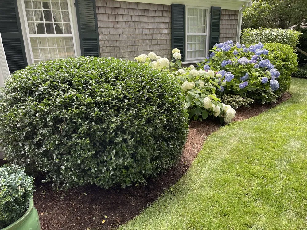 Top-rated landscaping services in Chatham, MA by MA Landscape and Home Services