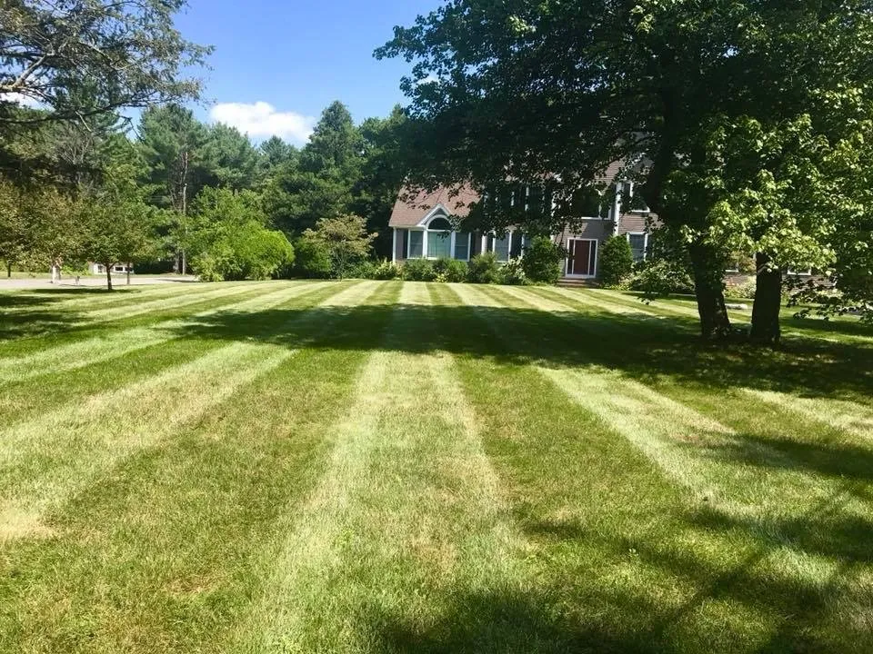 Reliable outdoor landscaping for year-round maintenance across Arlington, MA - MA Landscape