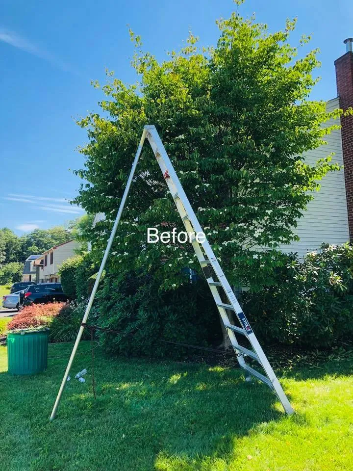 Professional yard maintenance experts serving Arlington, MA - MA Landscape