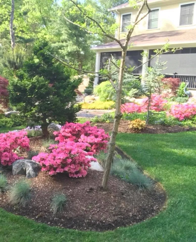 Expert lawn mowing service experts serving Arlington, MA - MA Landscape