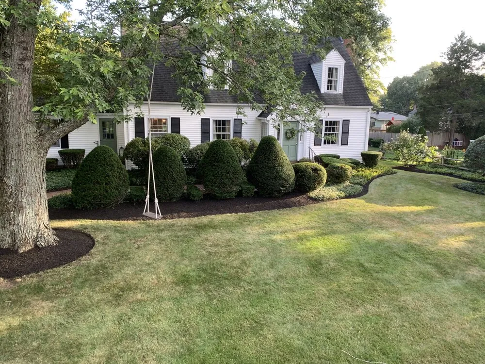 Professional yard cleanup service experts serving Arlington, MA - MA Landscape