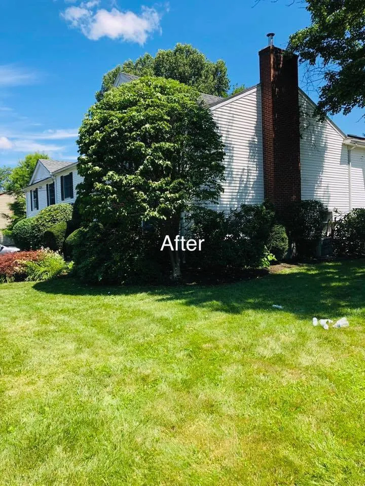 Trusted outdoor landscaping with custom design in Arlington, MA by MA Landscape