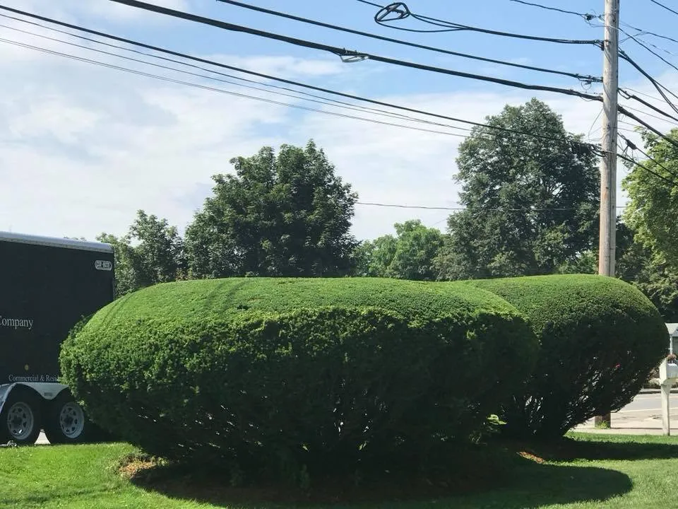 Expert lawn mowing service experts serving Arlington, MA - MA Landscape