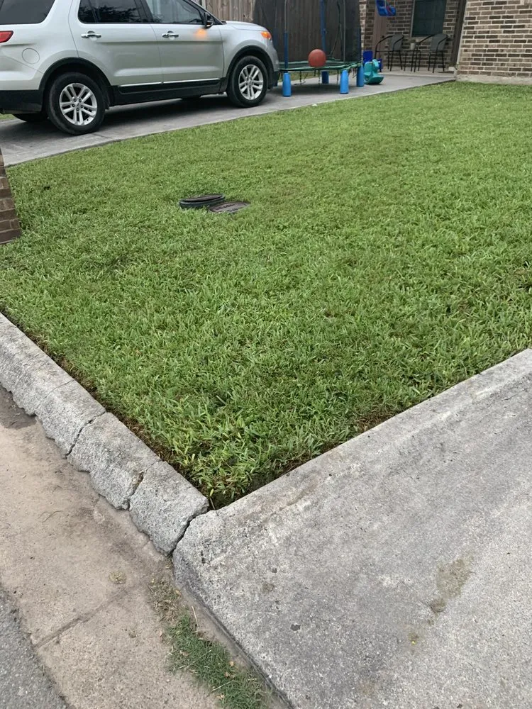 Custom landscape installation in Brownsville, TX by M&A Landscaping and More