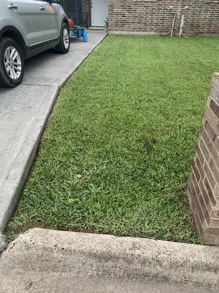 Trusted landscape installation in Brownsville, TX by M&A Landscaping and More