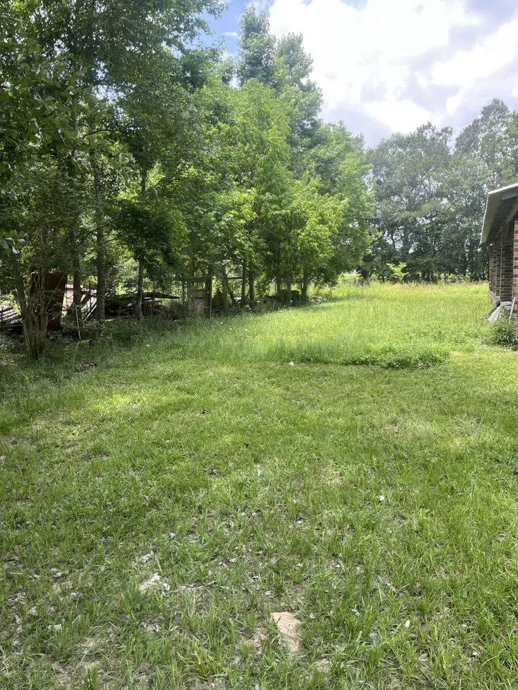 Affordable lawn mowing service for year-round maintenance across Cleveland, TX - M&A Landscaping