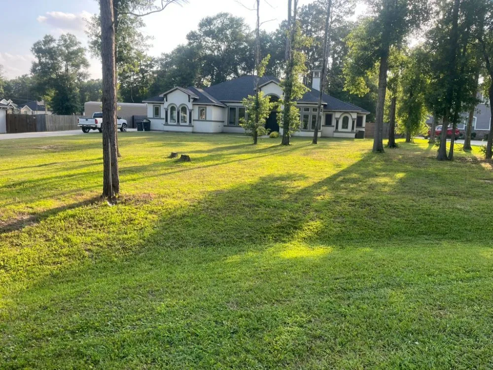 Trusted lawn mowing service in Cleveland, TX by M&A Landscaping